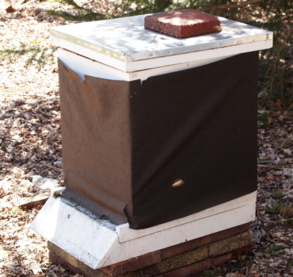 Hive Pre Daily Activity